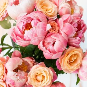 Meet your Posher, Lala